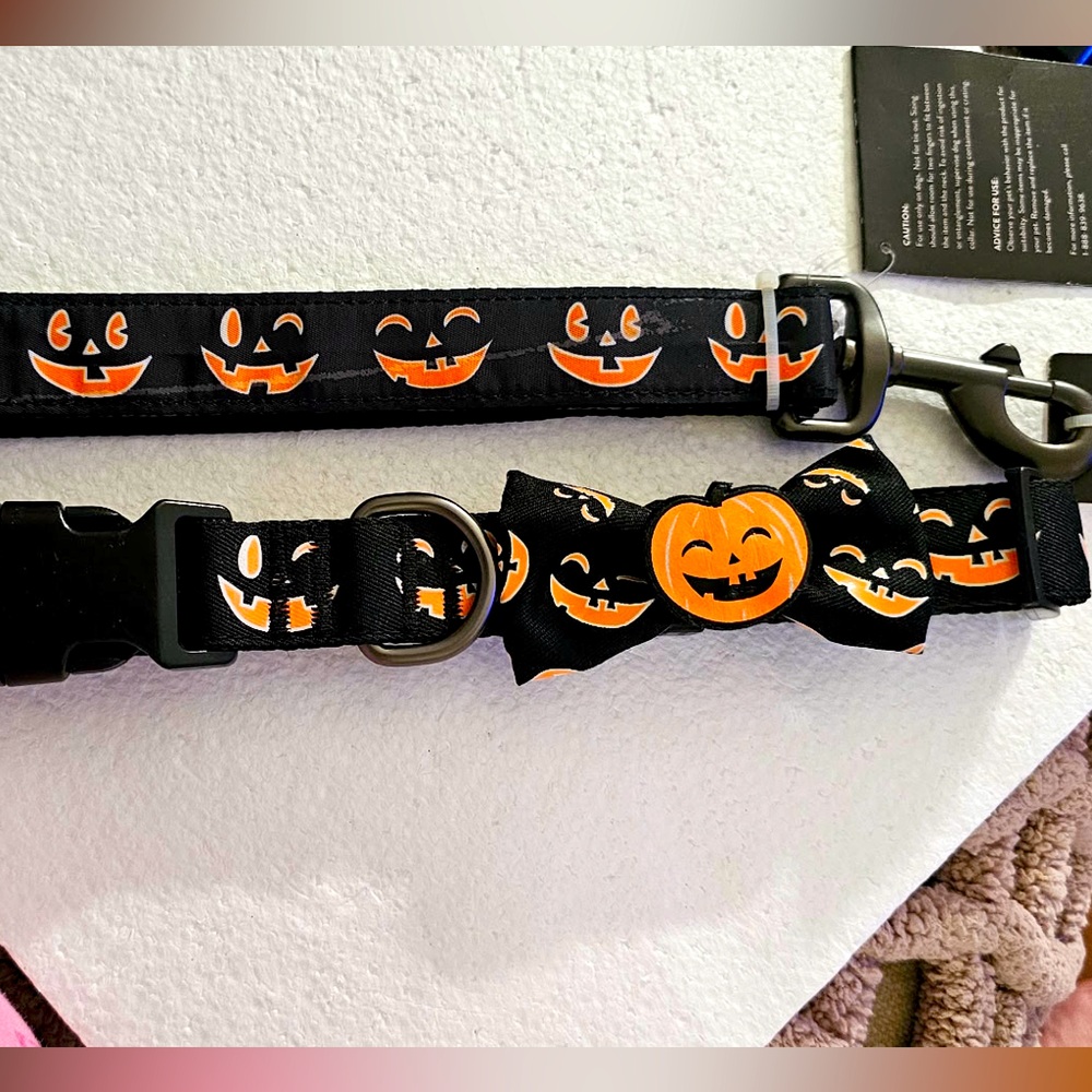 Thrills & Chills Black Pumpkin Light Up Leash w/Matching Glow In Dark Collar (L)